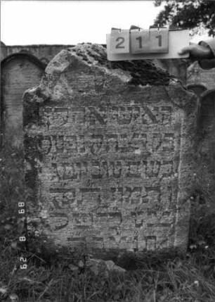 Grabstein 211 (Index: 100107533) Material: Kalkstein Zustand: verwittert, Bogen abgebrochen Maße HxBxT: 99x72x20 cm Beschreibung: Stele mit eingezogenem Rundbogenabschluß, Schriftfeld eingetieft: Grabstein 211