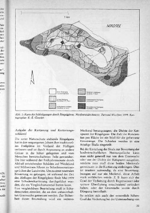 Abb.1: Karte der Schädigungen durch Ringelgänse, Nordstrandischmoor, Zustand Mai/Juli 1979, Kartographie: K.-E. Gieseler