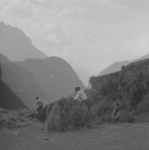 Bauernfamilie bei der Heuernte im Söldener Gebiet