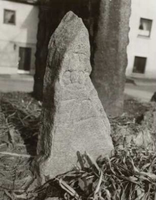 Nassau, Grenzstein : Nassau. Grenzstein Nummer 72 der königlichen sächsischen Waldgebiete (1. Hälfte 19. Jahrhundert), am Cafe Dienel