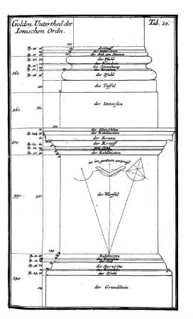 Tab. 10. - Goldm. Untertheil der Ionischen Ordn.