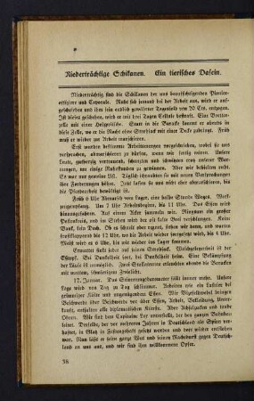 38 Niederträchtige Schikanen. Ein tierisches Dasein.