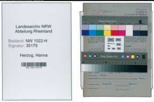 Entnazifizierung Hanna Herzog , geb. 15.04.1907 (Kaufmaennischer Angestellter)