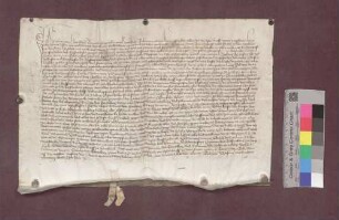 Konrad von Hornberg, Sohn des verstorbenen Brun von Hornberg, gibt seiner Gemahlin Benignose, Tochter des Hans von Rathsamhausen gen. von Triberg, die Veste Schneeburg und die Dörfer Ebringen Talhausen und Berghausen als Morgengabe.