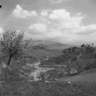 Sizilien, Blick in ein Flusstal mit blühendem Baum