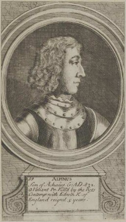 Bildnis des Alpinus