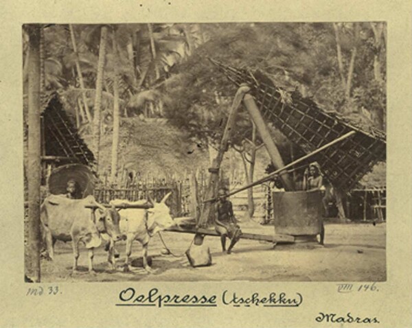 Oil press