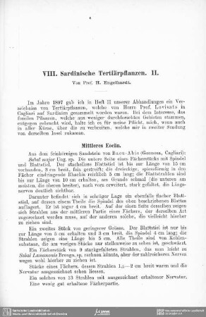 Sardinische Tertiärpflanzen