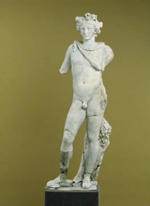 Dionysos mit Efeukranz