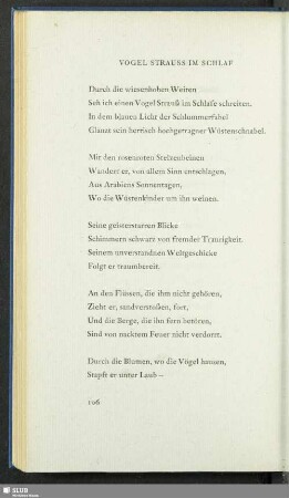 Vogel Strauss im Schlaf