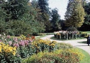 Dresden. Großer Garten. Dahliengarten