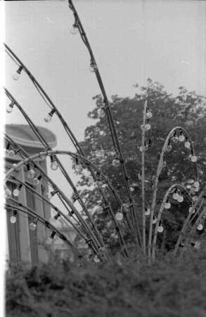 Lichterfest im Stadtgarten