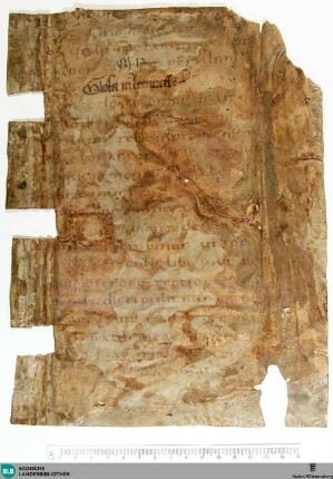 Sacramentarium Gregorianum, Fragment - Cod. Aug. Fr. 23