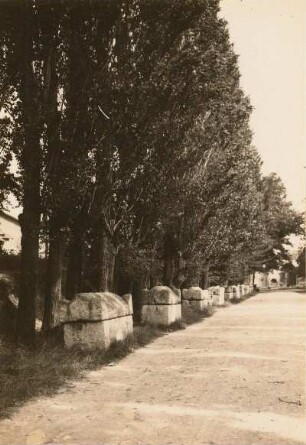 Arles. Les Aliscamps (Gräberstraße)