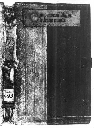 Disticha de Alcimo [u.a.] - BSB Clm 493