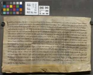 Marienborn: Kaufbrief des Viktorstifts zu Mainz über Güter zu Marienborn von Bald ........ gen. Wink