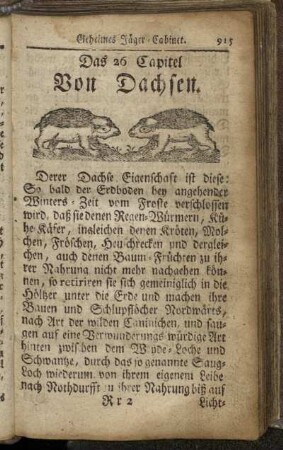 26. Von Dachsen