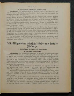 VII. Allgemeine wirtschaftliche und soziale Fürsorge.