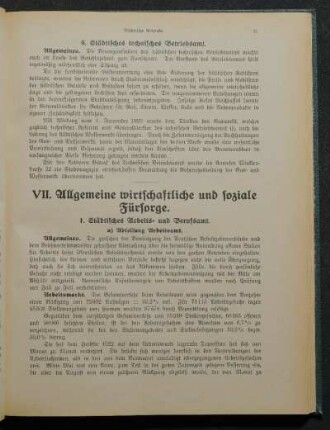 VII. Allgemeine wirtschaftliche und soziale Fürsorge.