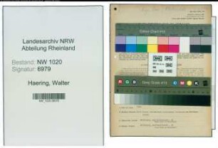 Entnazifizierung Walter Haering , geb. 21.02.1899 (Fahrer)