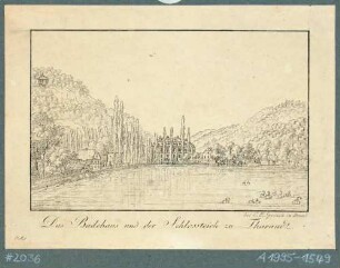 Tharandt, Blick über den Schlossteich in das Tal der Wilden Weißeritz, im Hintergrund das Kurbad (Kaltwasser-Heilanstalt)