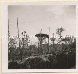 Capri, Große Orientreise der Hapag, 18.04.1939