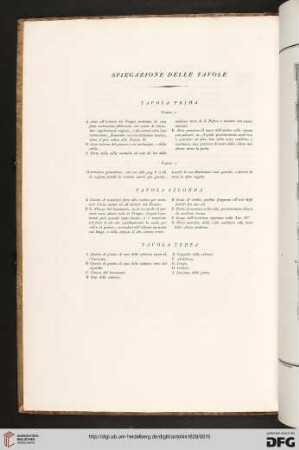 Spiegazione delle tavole
