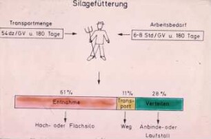 Silagefütterung in Handarbeit
