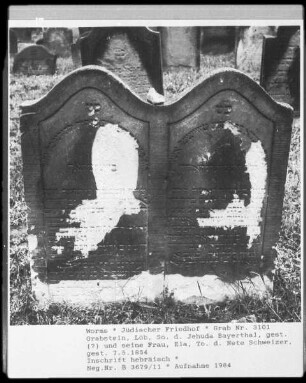 Grabstein des Löb, Sohn des Jehuda Bayerthal und seiner Frau Ela, Tochter der Nete Schweizer (gestorben 1854.05.07)