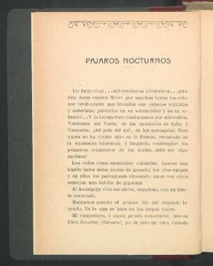 Pájaros nocturnos
