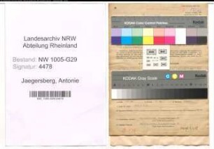 Entnazifizierung Antonie Jaegersberg , geb. 28.09.1908 (Technische Angestellte)