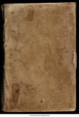 Rudimentum novitiorum