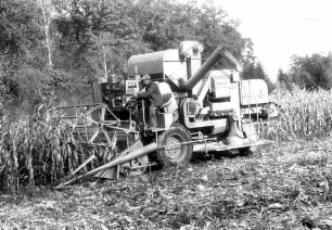 MD Dechentreiter Goldhamster 260