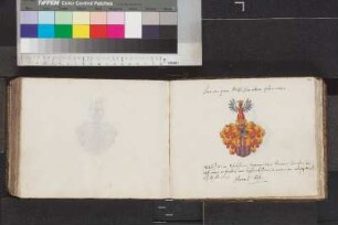 Thill, Johann von; Blatt 243