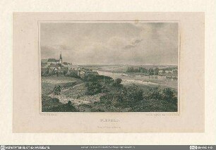 Wipfeld
