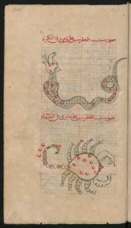 Illustration: Sternbild des Skorpions