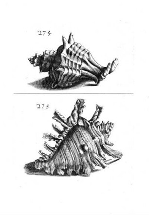 274. - 275.