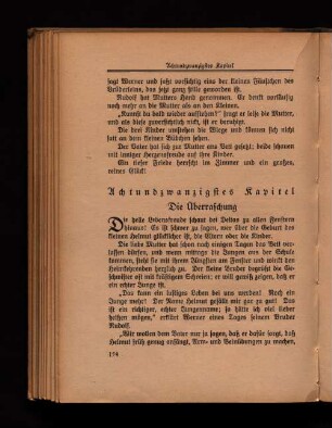 Achtundzwanzigstes Kapitel Die Überraschung