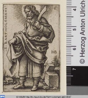 Bartholomaeus