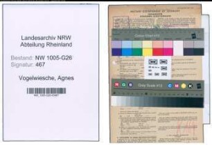 Entnazifizierung Agnes Vogelwiesche , geb. 23.04.1898 (Buchhalterin)