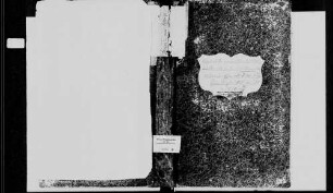 Strümpfelbrunn, evangelische, katholische und israelitische Gemeinde: Standesbuch 1867-1870