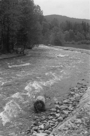Kurzholzflößen : Holzflößung auf dem Weißen Regen