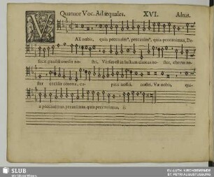 XVI. Vae nobis quia peccavimus