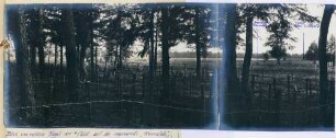 Foto eigener Stellungen mit Drahthindernis nahe der "Russenfalle" bei Plakanen östlich Riga (linker Bildteil)