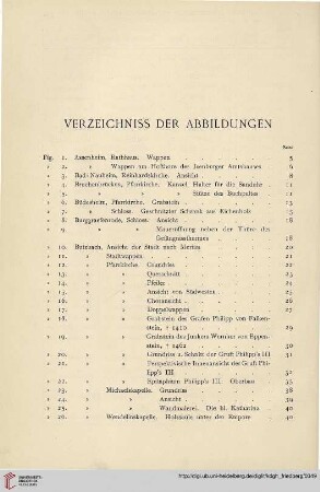 Verzeichniss der Abbildungen