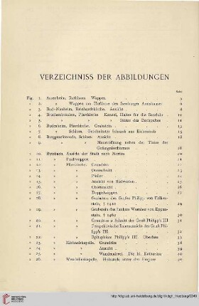 Verzeichniss der Abbildungen