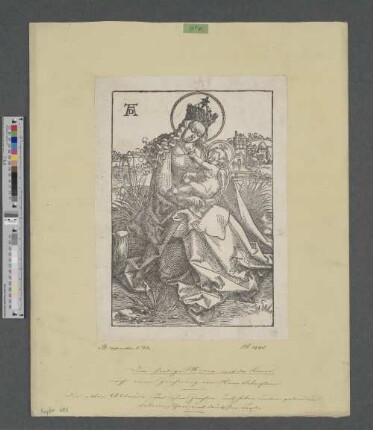 [Die heilige Maria mit der Krone]