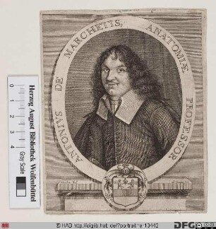 Bildnis Antonio de' Marchettis