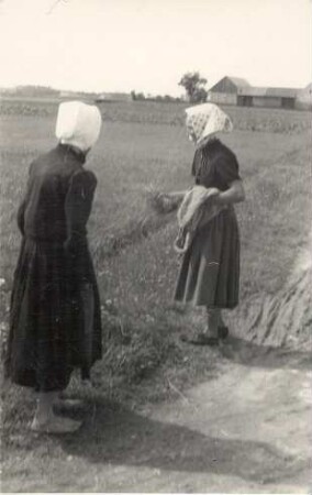 Frauen in Schleifer Arbeitstracht bei der Feldarbeit in Schleife : Žonje w Slepjanskej dźěłanskej drasće na polu w Slepom