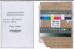 Entnazifizierung Walter Pigne , geb. 30.12.1907 (Anreisser)